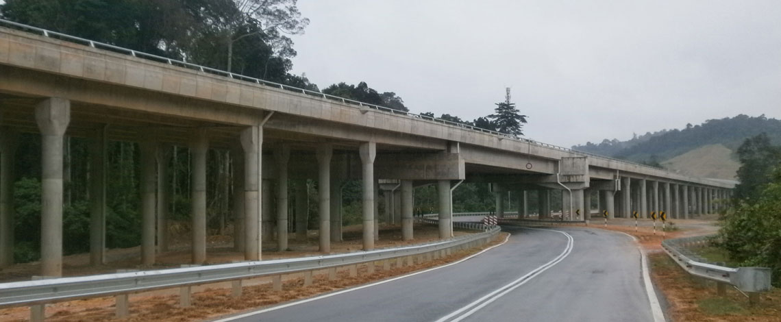 gua-musang-2