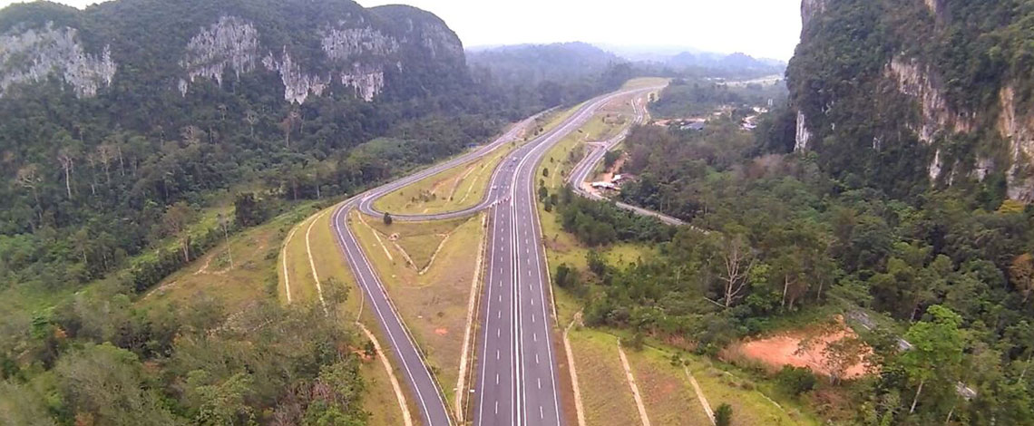 gua-musang-3